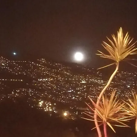 Cc39-q6 Quarto em Acomodações Particulares Funchal (Madeira)